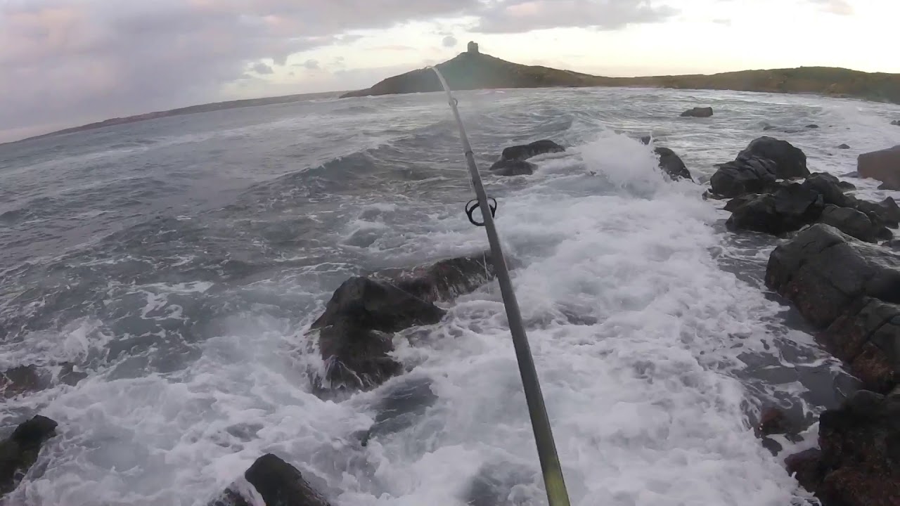 Spigola pescata a spinning