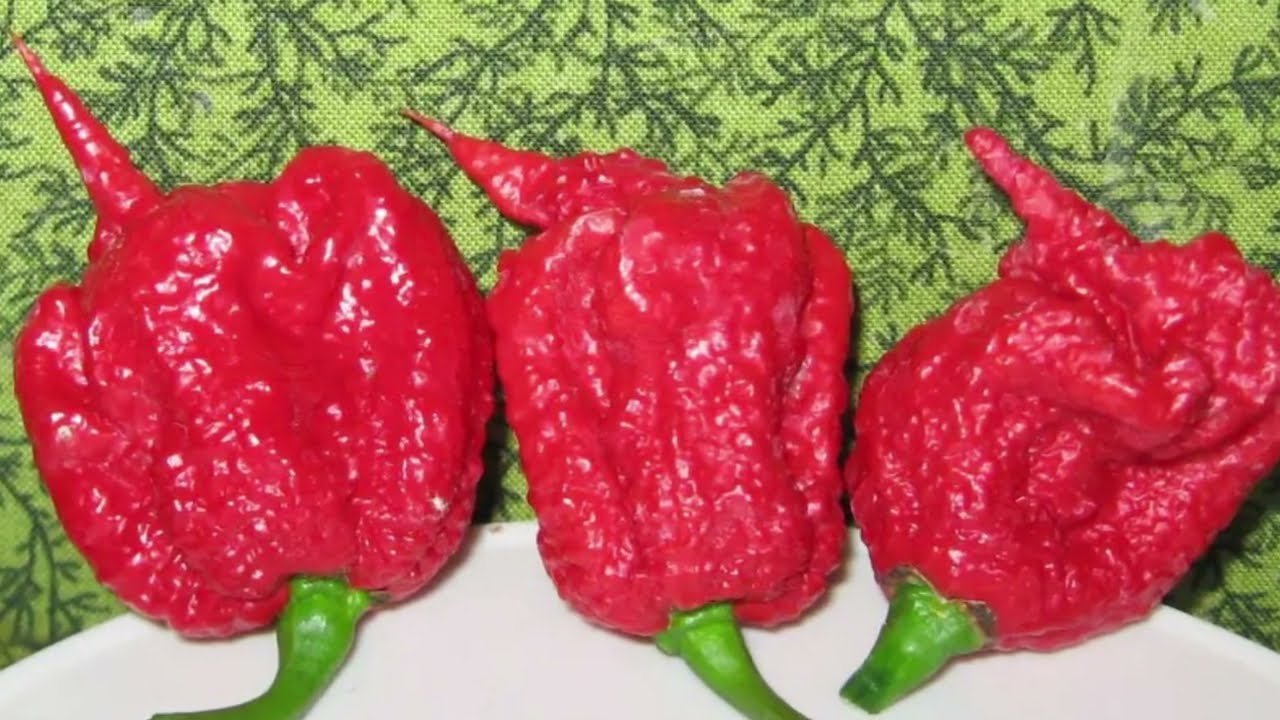 Top 10 Los Chiles Mas Picantes del Mundo