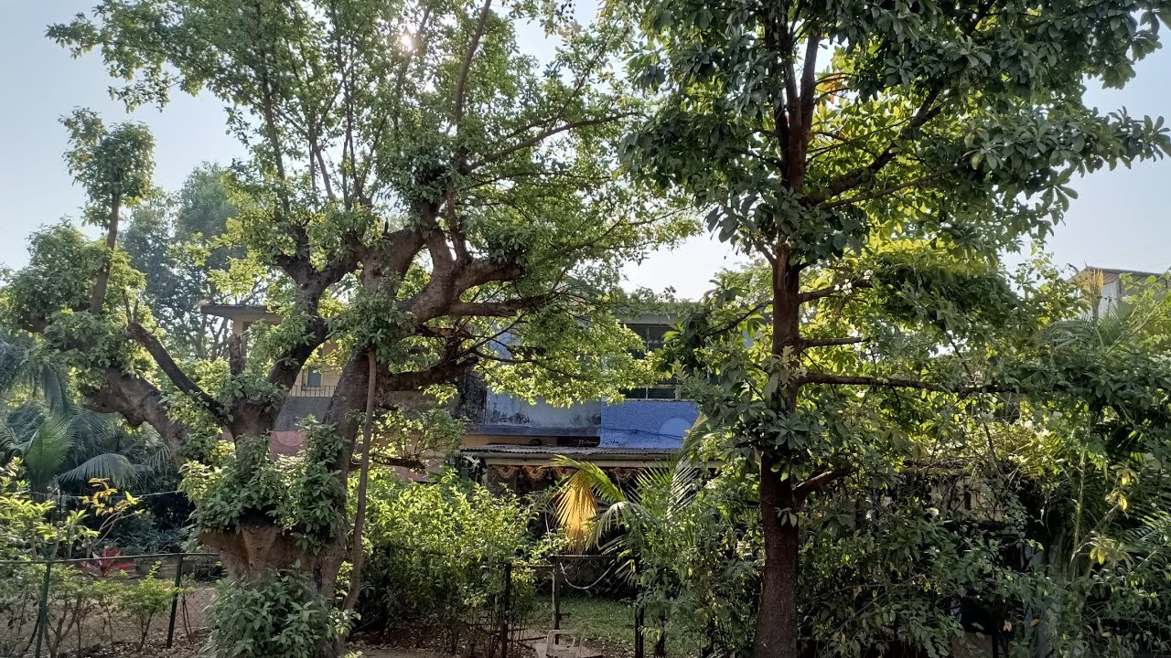 Nature's Nest Homestay Lonavala 