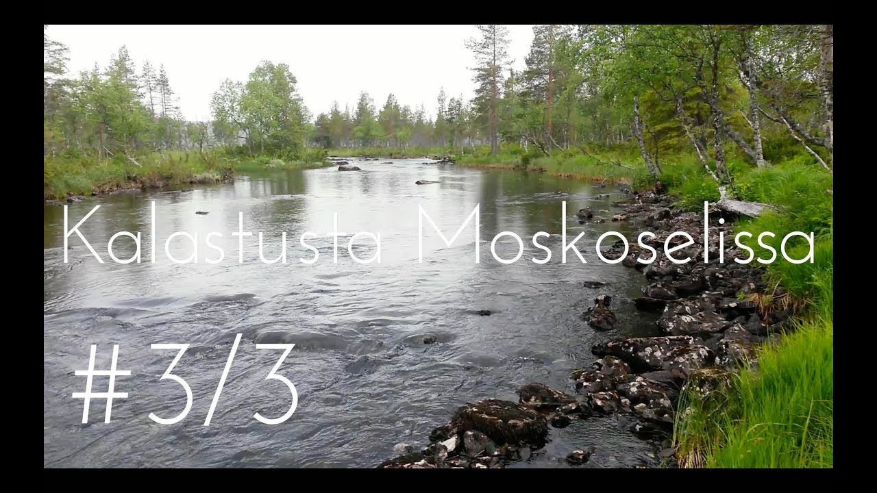 Taimenen ja harjuksen kalastusta Ruotsissa Moskoselissa 2017 osa 3/3 // Vaan kalastusta(4)