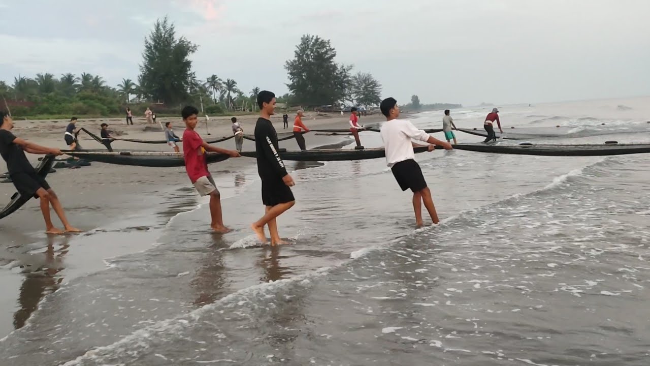 Beginilah Cara Nelayan Pantai Menangkap Ikan dengan Jaring Besar, Pukat Cincin,Pukat Darat #pursaine