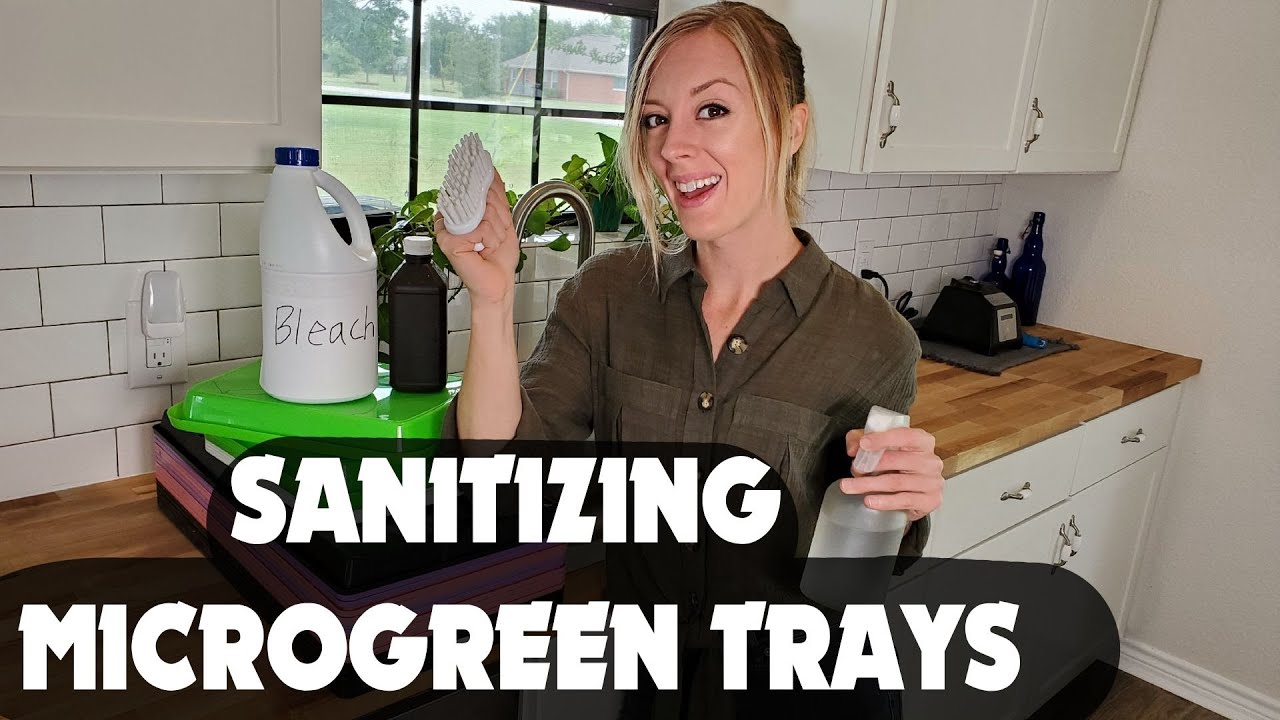 Let's Talk SANITATION!! - How to Clean and Sanitize Microgreen Trays |  Indoor farming |
