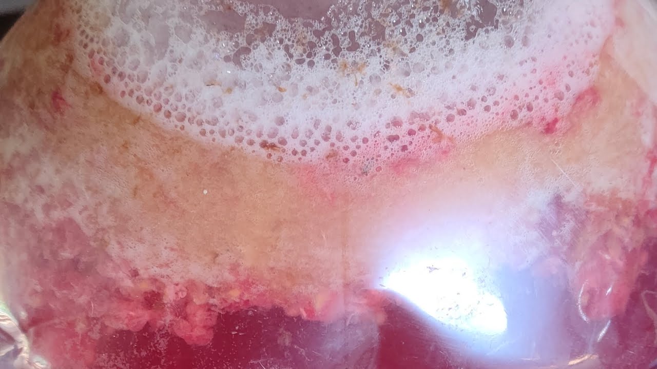 Jak zrobić wino domowe w butelce po wodzie 5/10L itp z własnych drożdży bez pożywki , pirosiarczynu