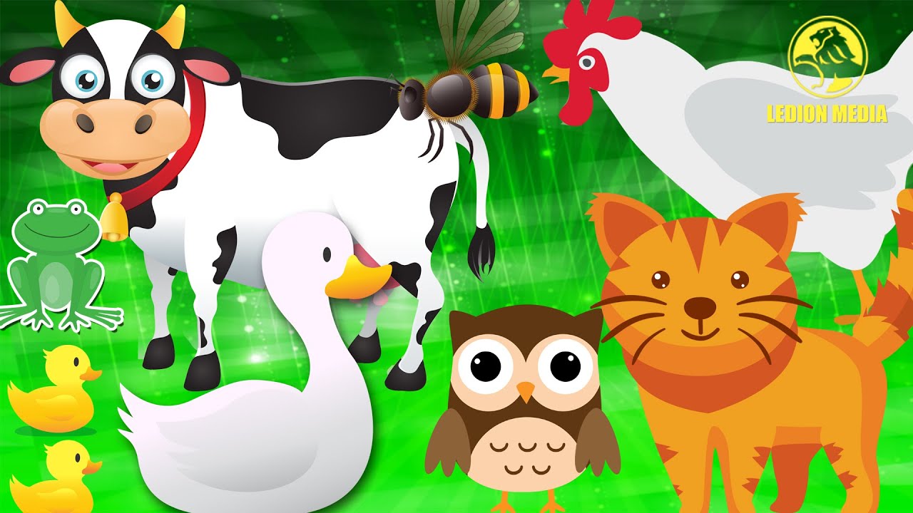 Animal Sounds | Albanian Nursery Rhymes | Bleta &trade;