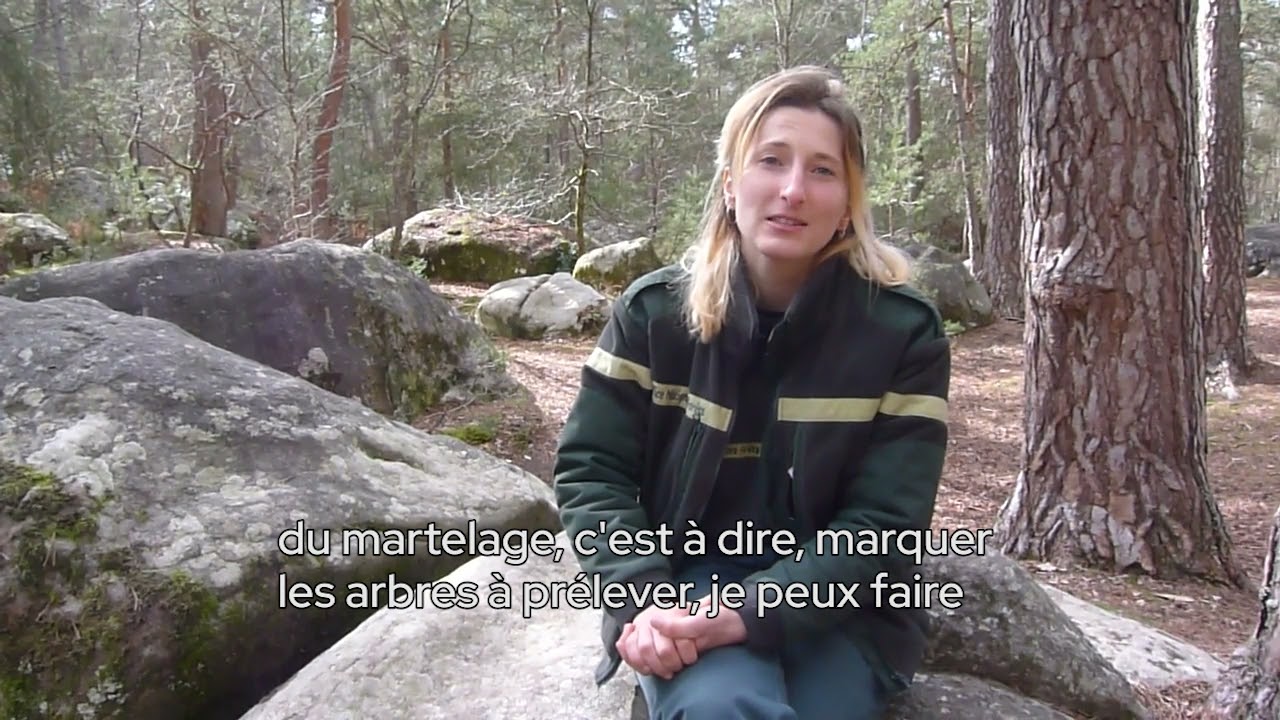 BTSA GPN - Les anciens témoignent #1