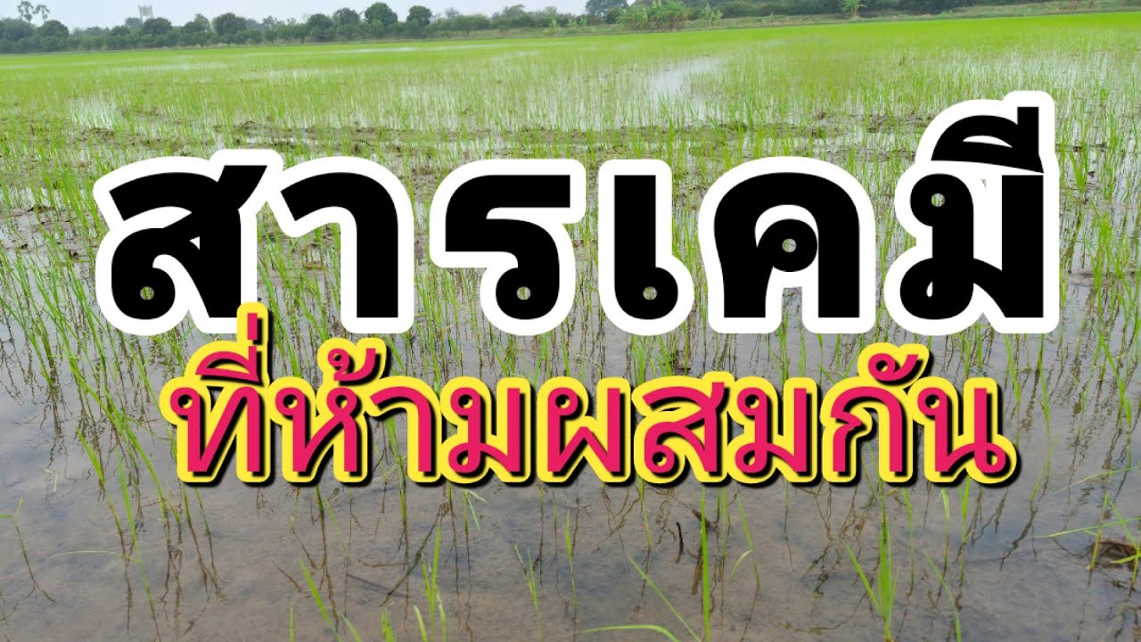ฟิโพลนิล ห้ามผสม 