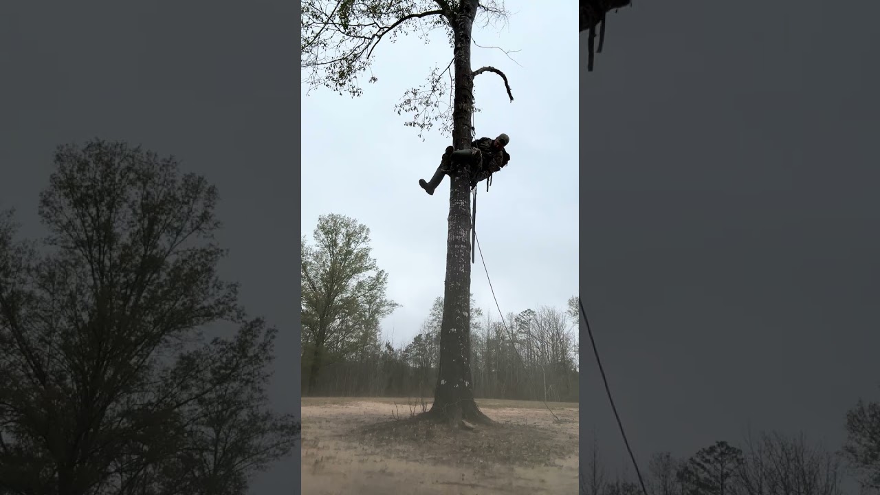 No stick platform climb