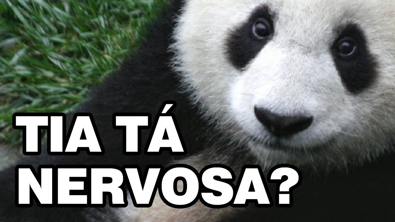 PANDAS REBELDES DUBLADOS (GutoTV)