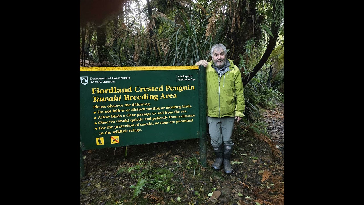 Gerry McSweeney - Conservation, Tourism, and Penguins