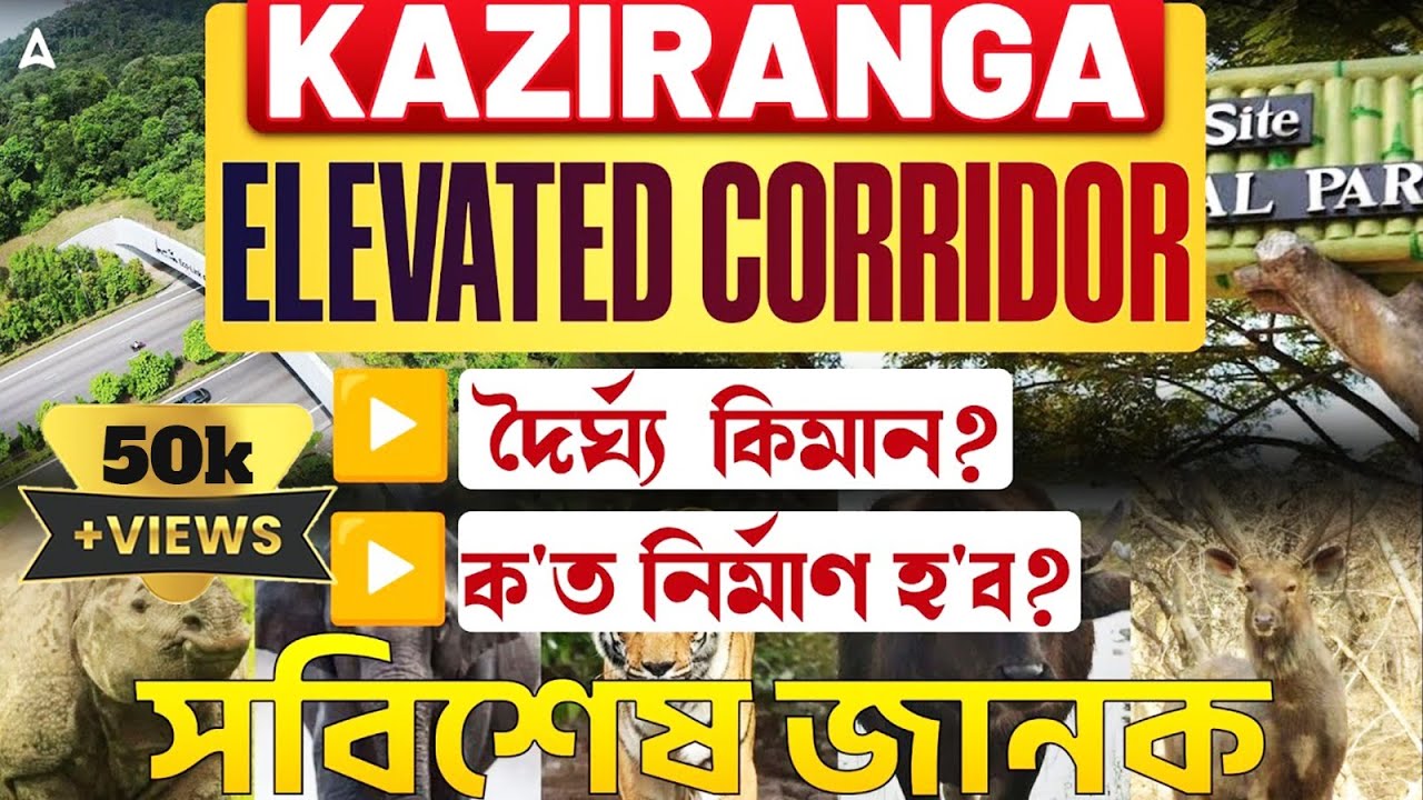 Kaziranga Elevated Corridor | Total length, Construction process, impact on buisness