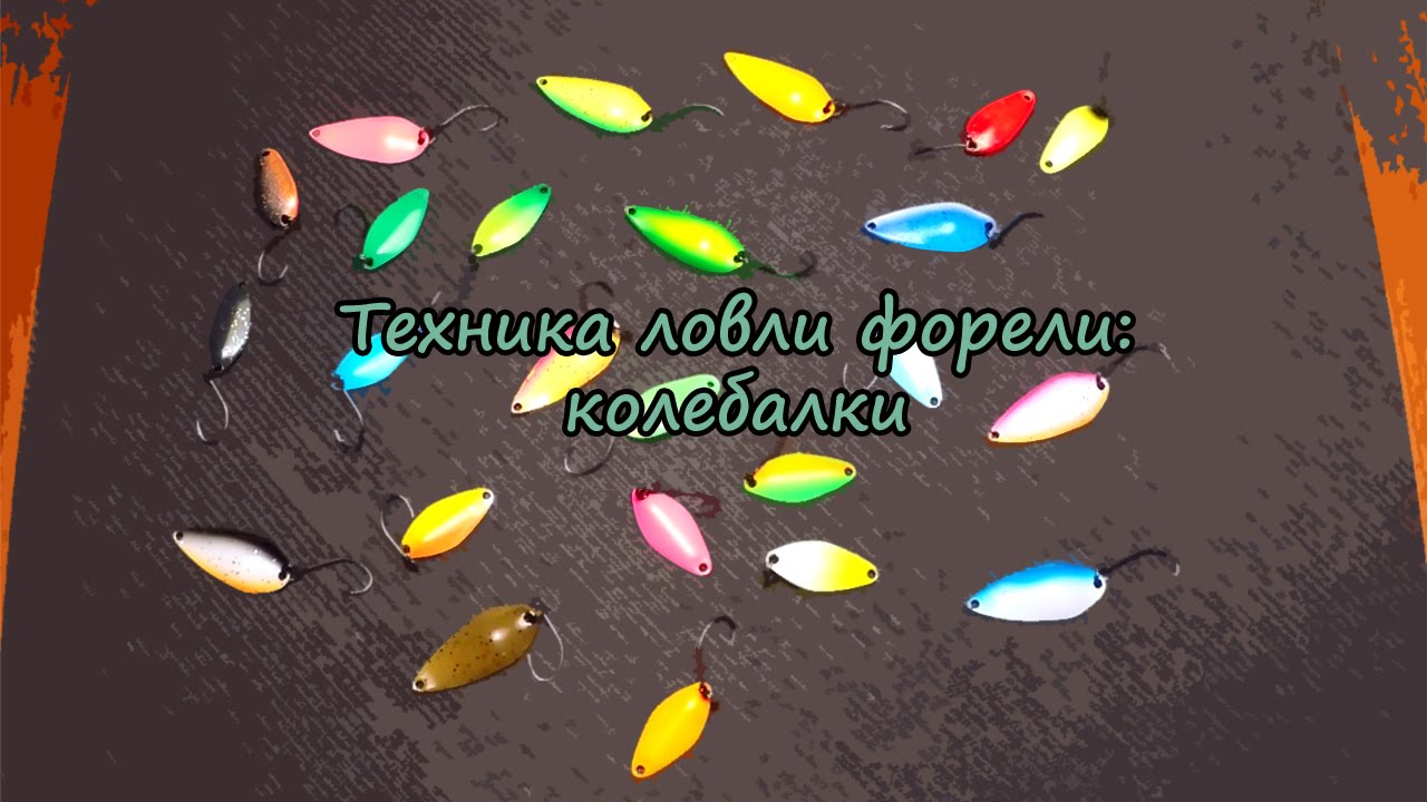 Техника ловли форели: колебалки