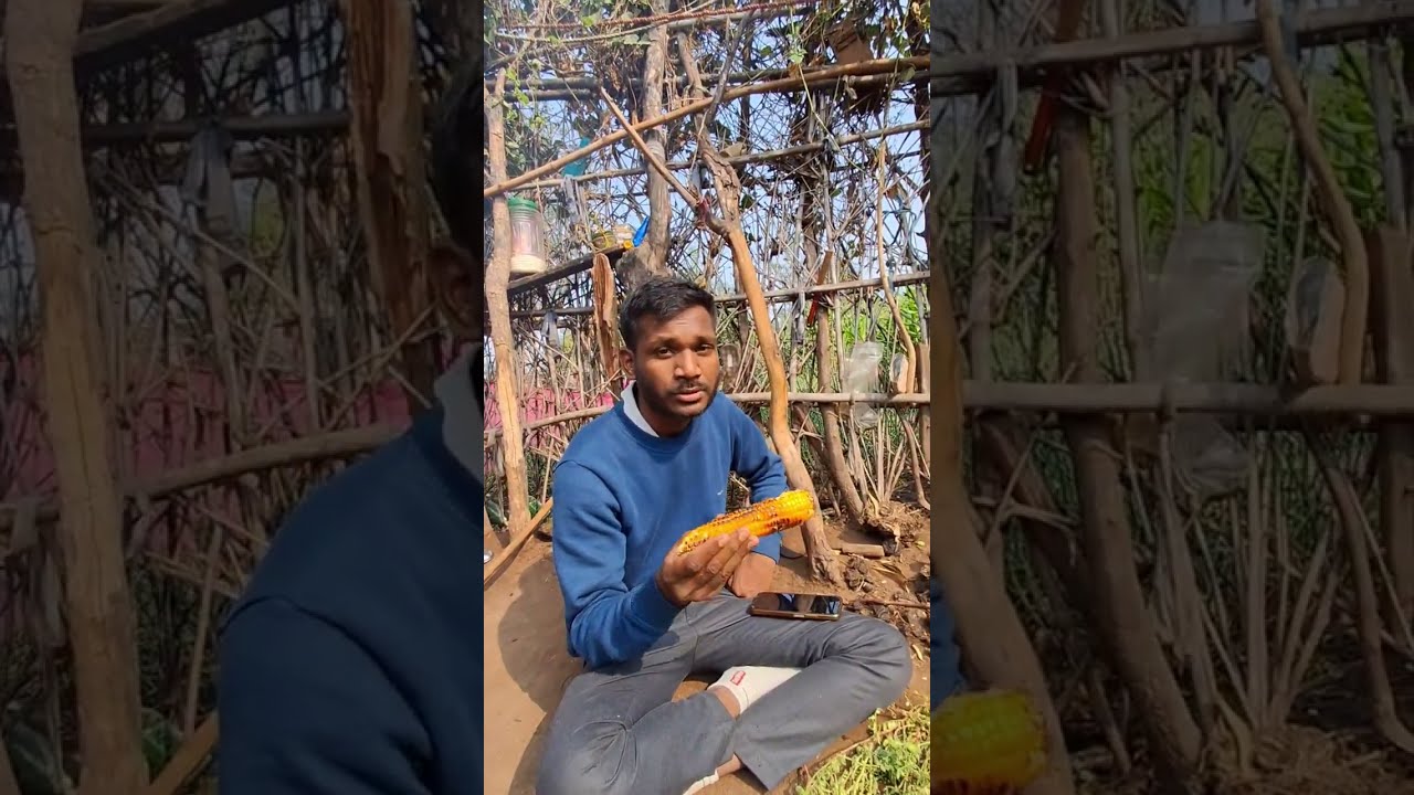 Mera Ghar or makka ka khet ##minivlog #youtube #comedy #family 
