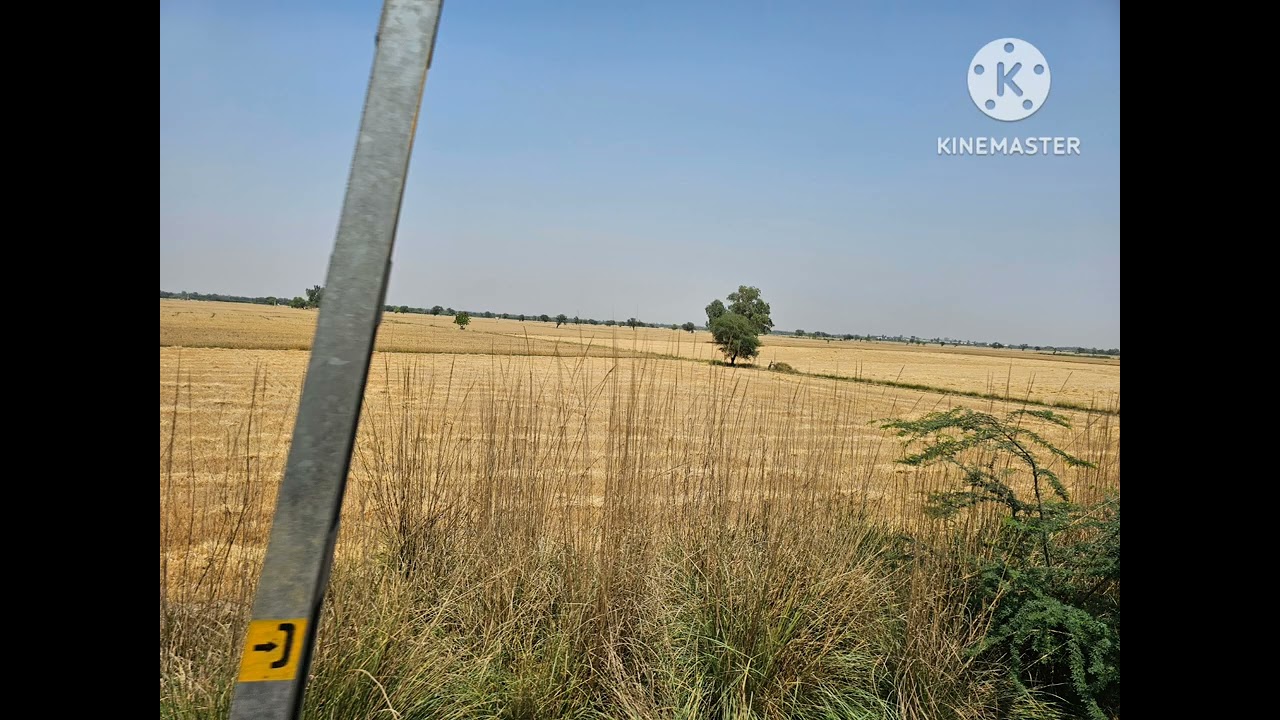 Land for sale in Hanumangarh