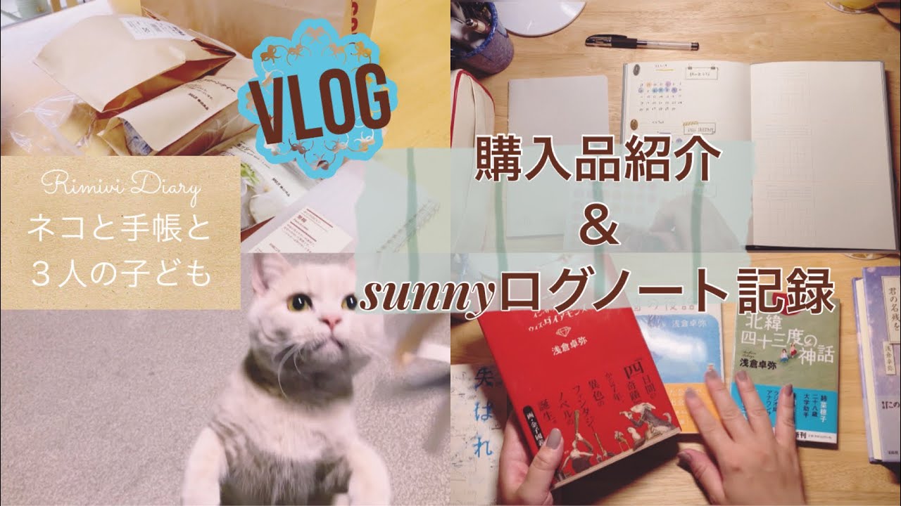 購入品ザッと紹介とsunnyログノートで毎日記録【VLOG】手帳と文房具好きな主婦