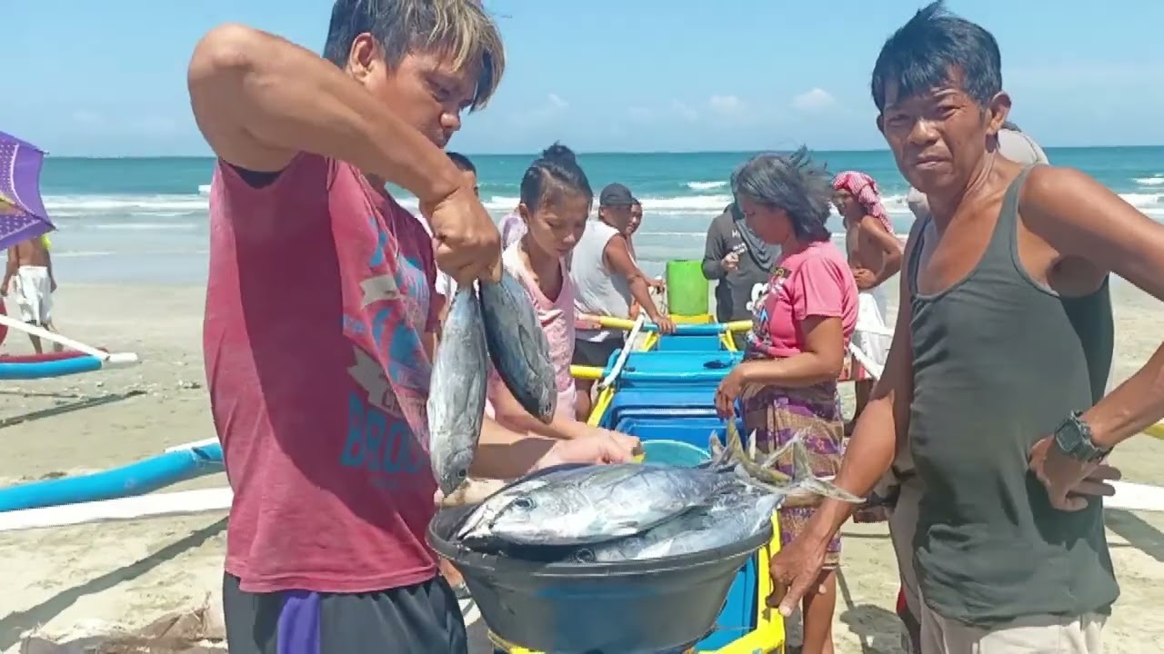 The fishermen of Victoria, Currimao, Ilocos Norte