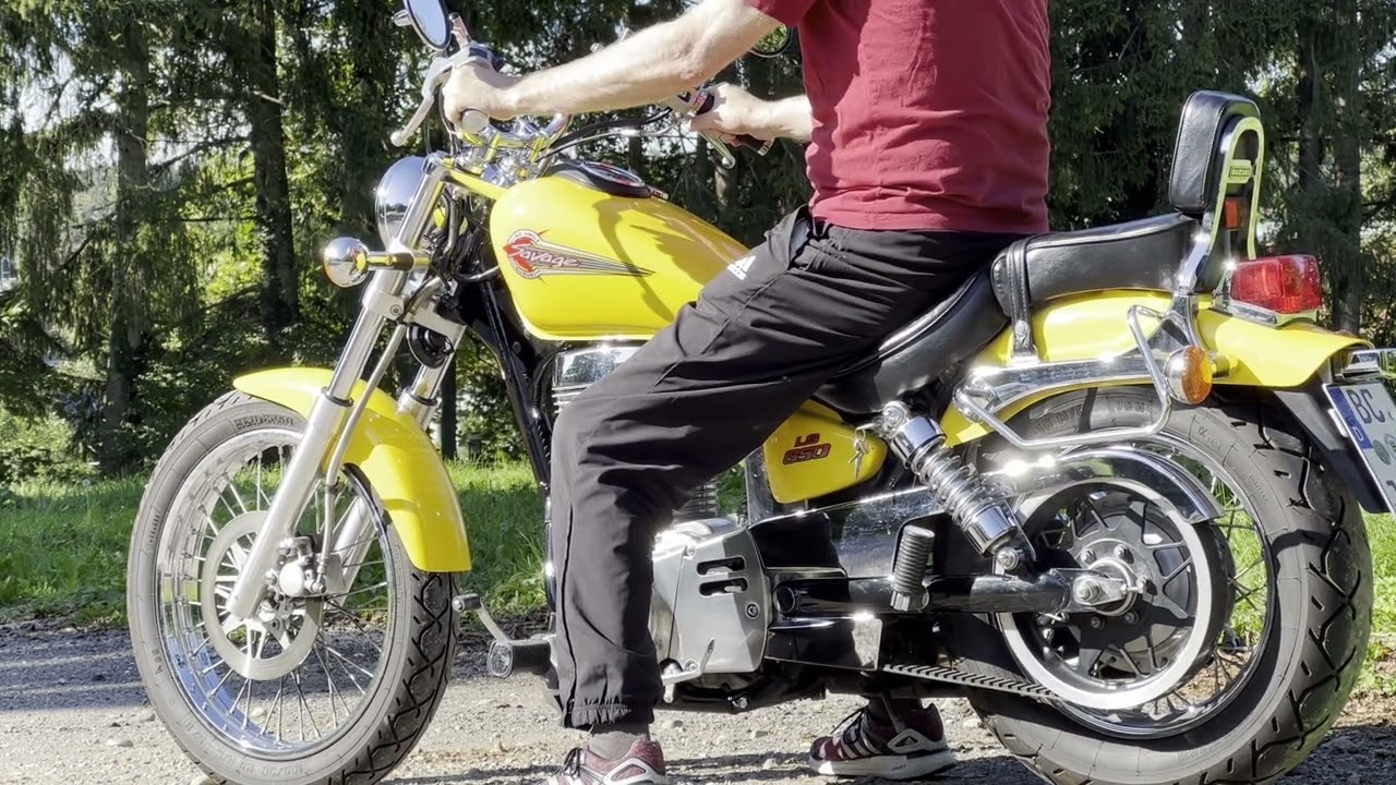 Suzuki LS650 Startup