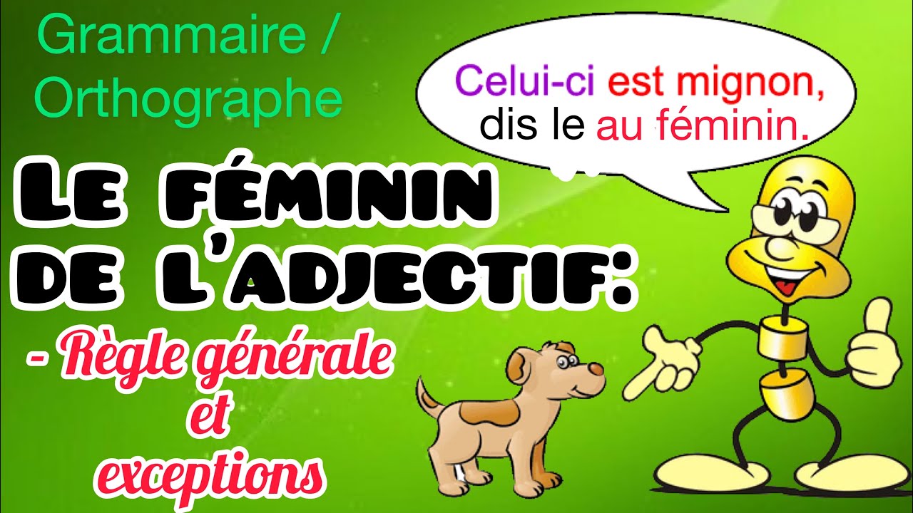 Le féminin des adjectifs- ٌRègle générale et exceptions