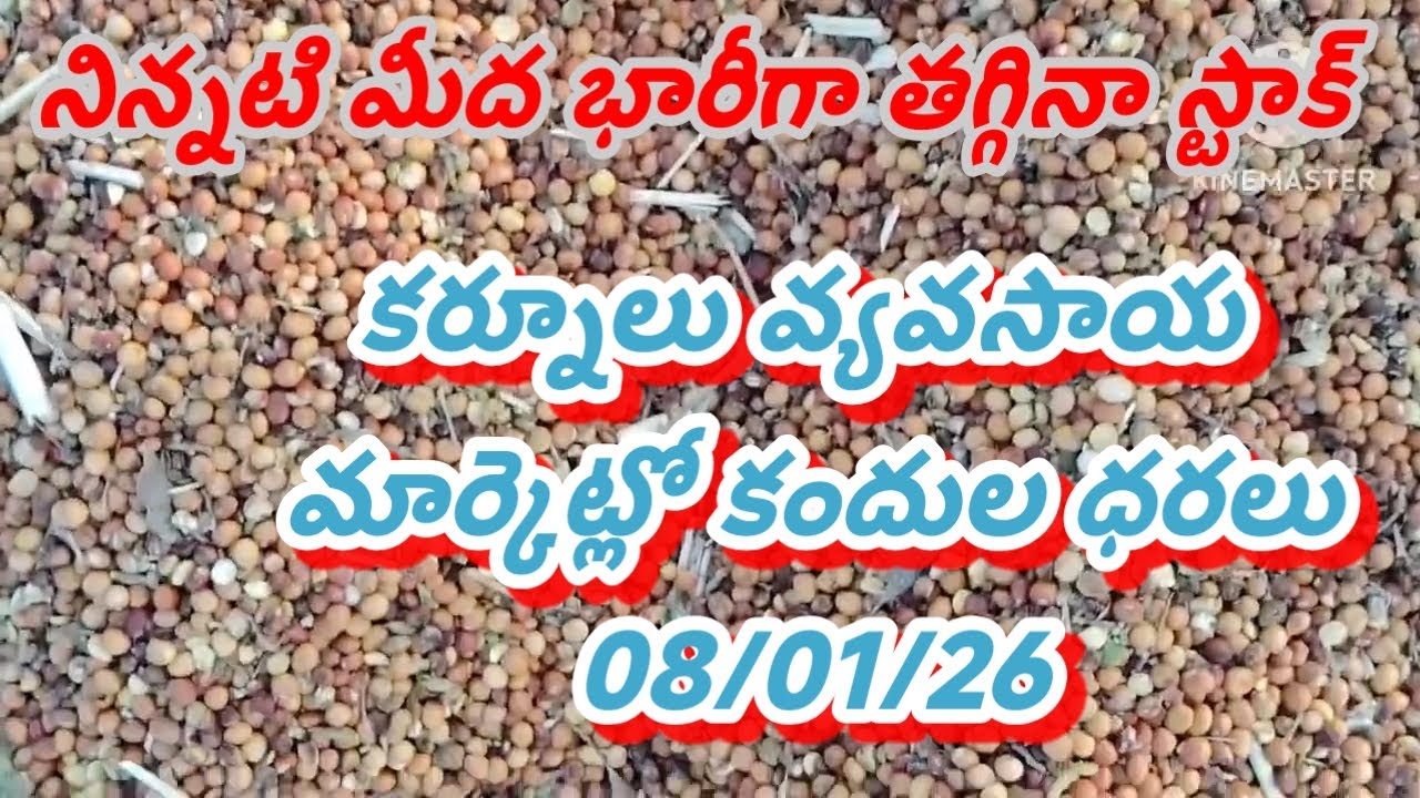 8 January 2026| కర్నూలు మార్కెట్లో కందుల ధరలు| today red gram price Kurnool market