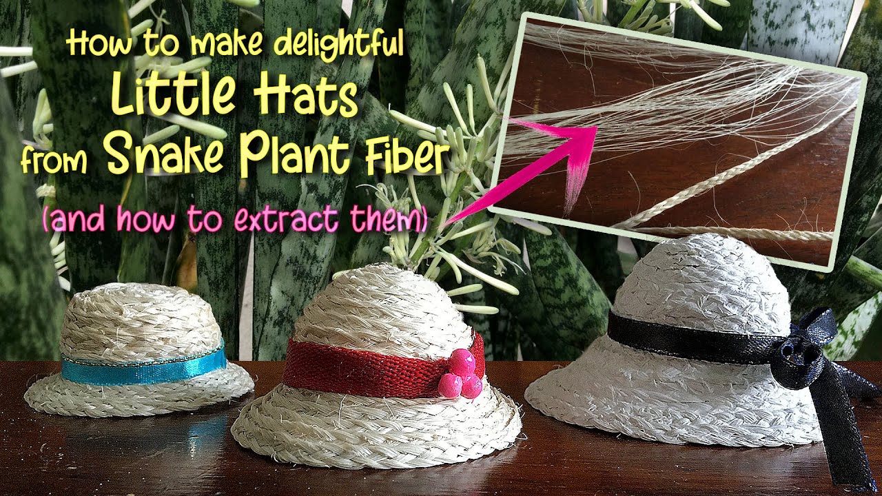 Miniature Hat Making from Sansevieria Leaf Fiber