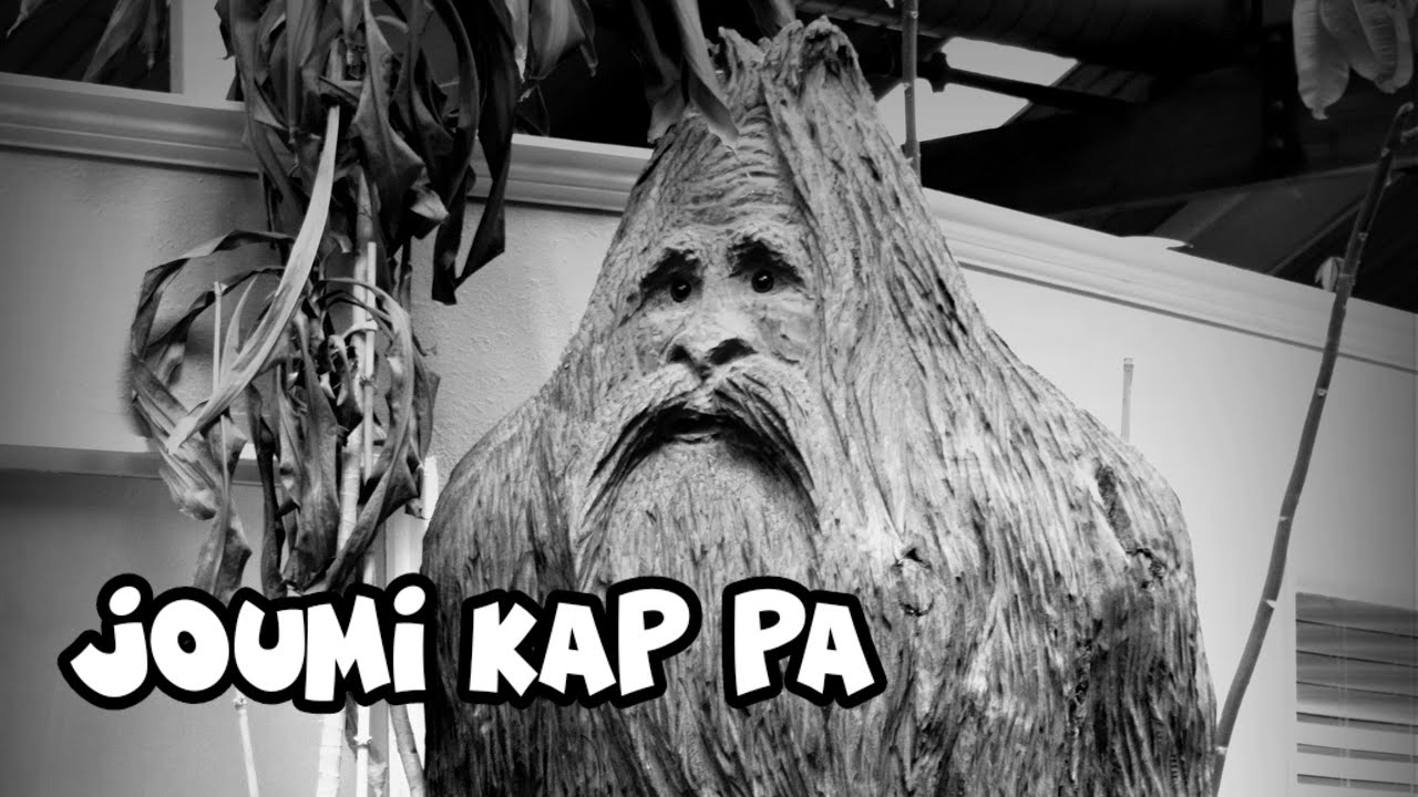 JOUMI KAP PA