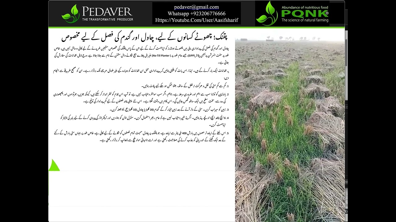 PQNK for smallholders, specific to Rice & Wheat crop rotation Urdu