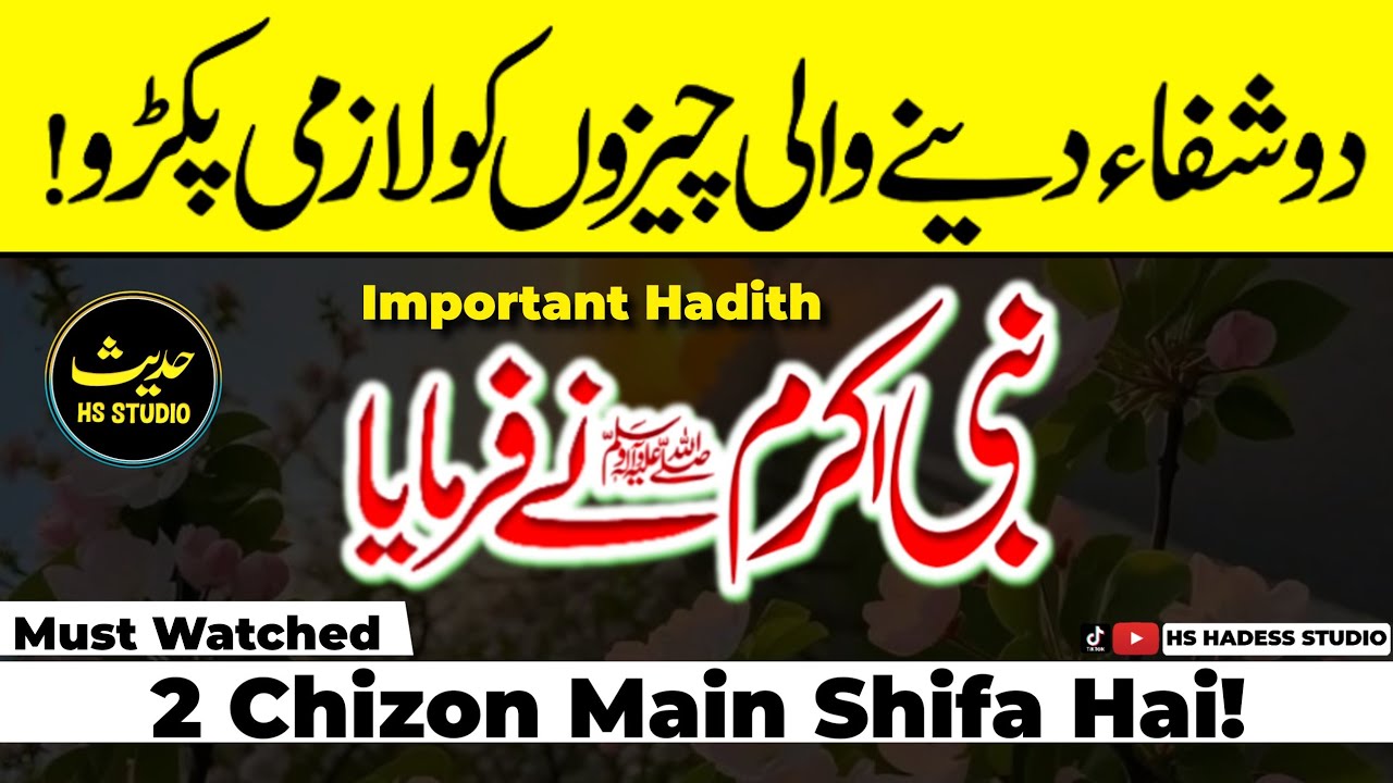 Hadees E Nabvi in urdu || Hadees Sharif || Hadees || Hadith || Hadees e mubarak