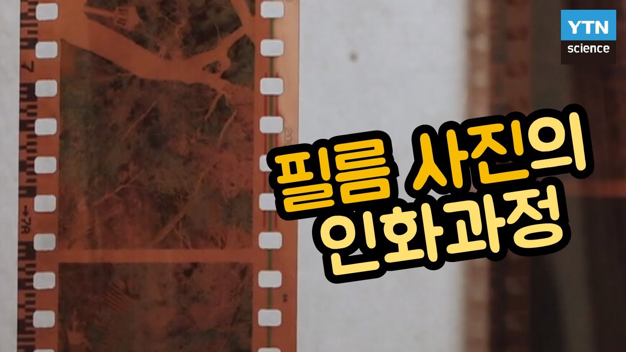 [핫클립] 필름 카메라로 촬영 후 어떻게 사진으로 현상할까? / YTN 사이언스