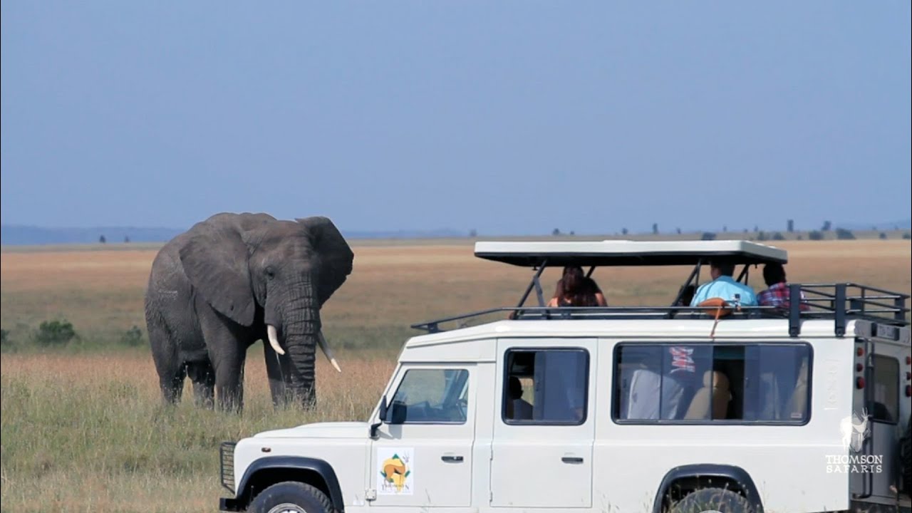Day in the Life on Safari