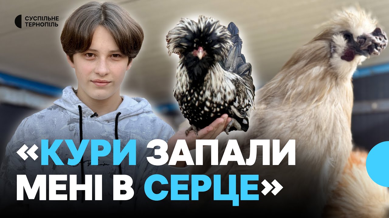 14-річний хлопець зі Збаража вирощує декоративних курей