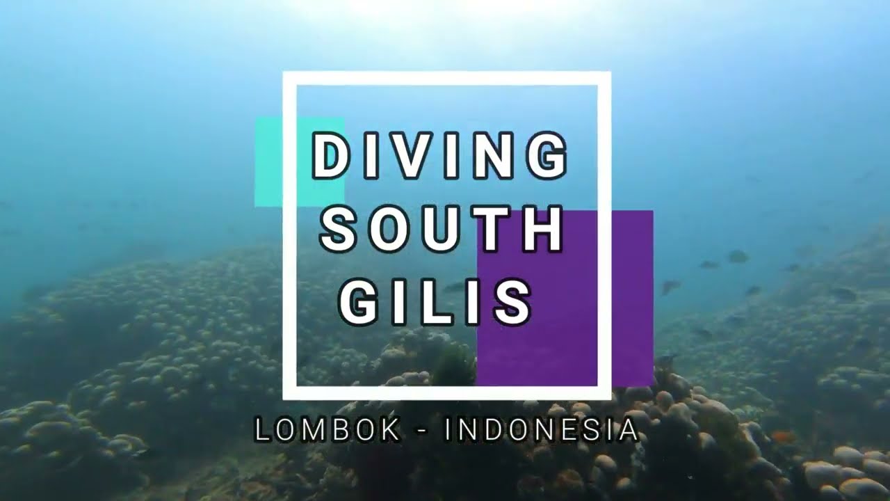 Diving Gili Gede, the south Gilis day 3