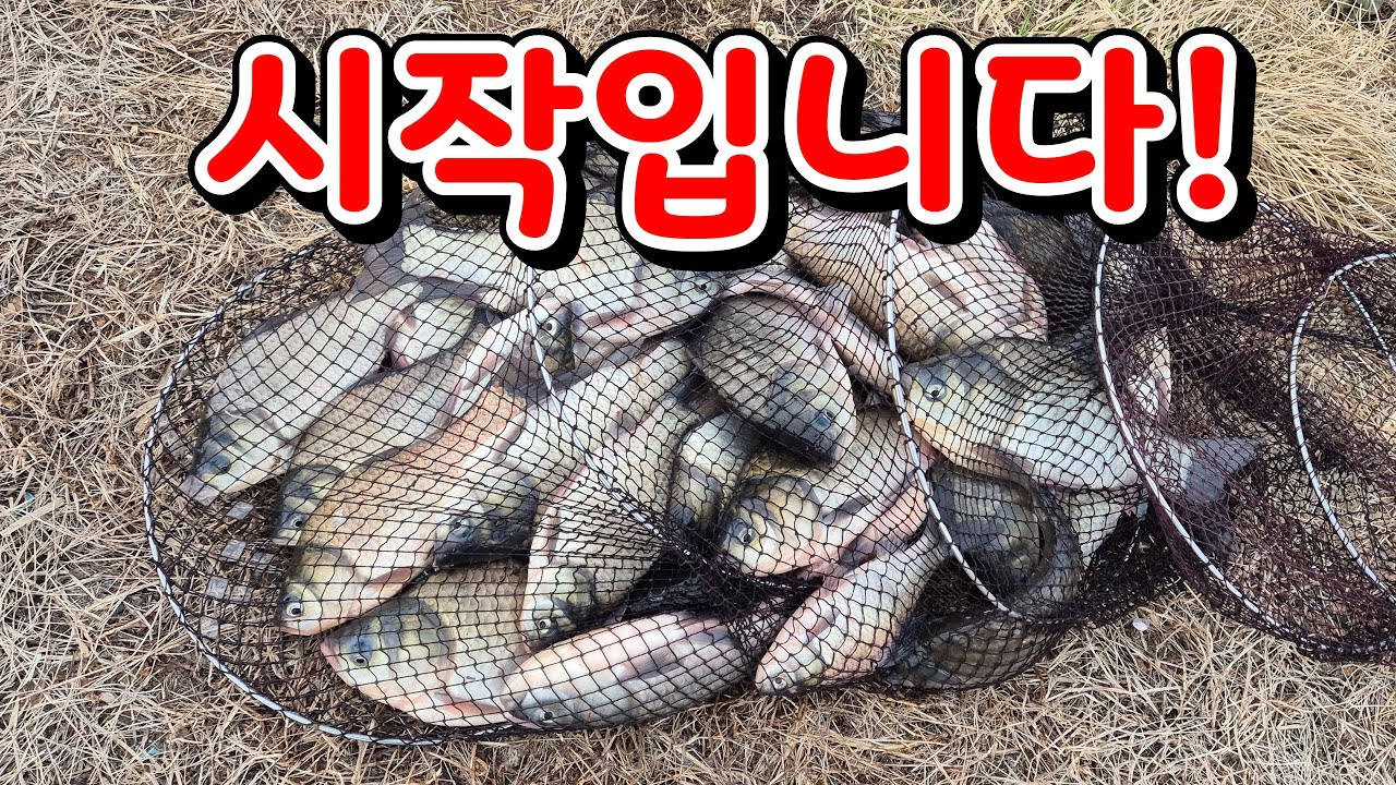 벌써 시작이네요!