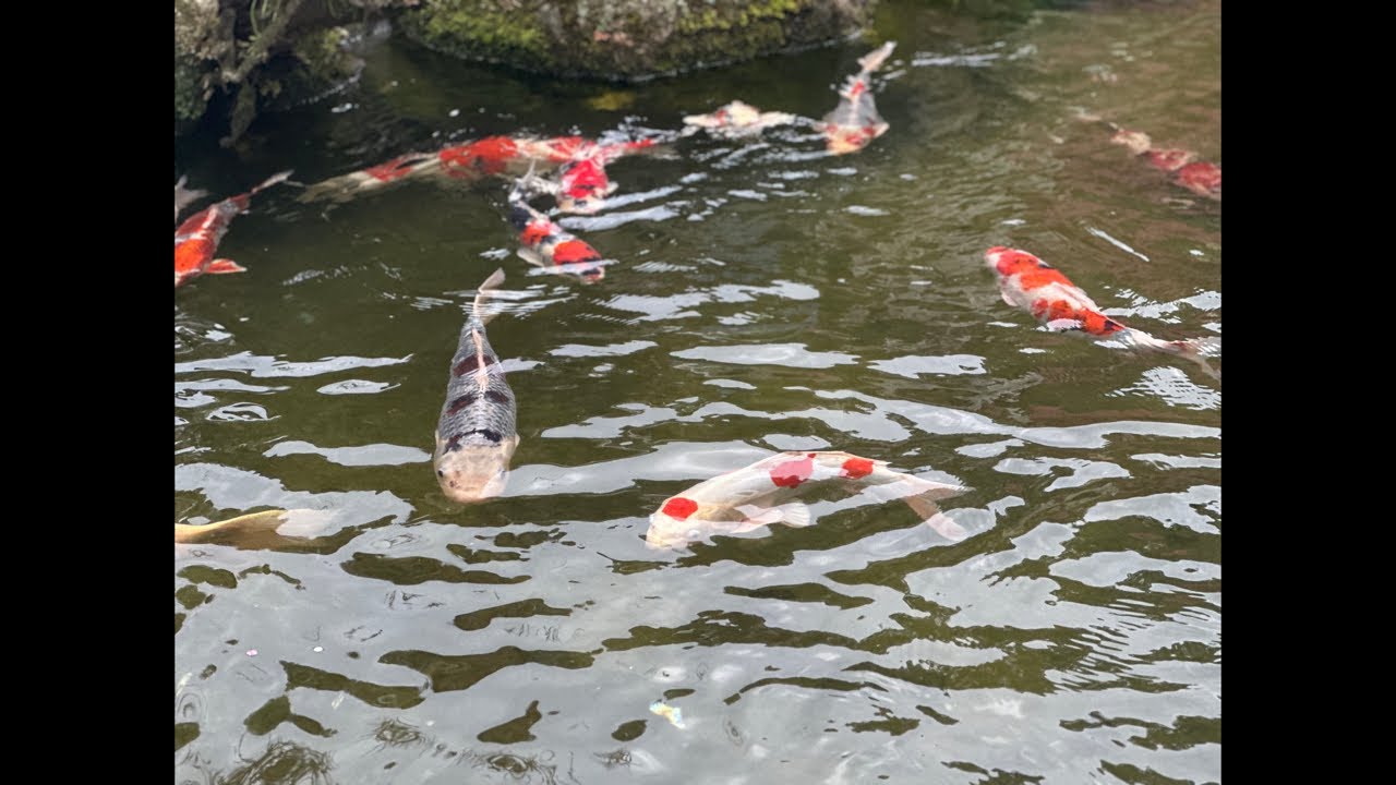 ☔雨の日の日本生活｜घरको काम गर्दै शान्त दिन 🇳🇵🇯🇵