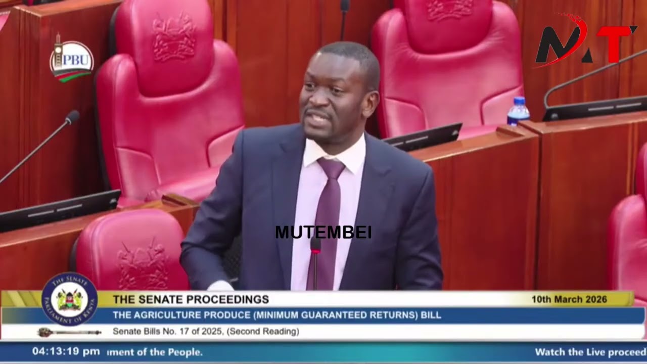 LISTEN TO FEARLESS SEN SIFUNA SUBMISSION IS SENATE!!