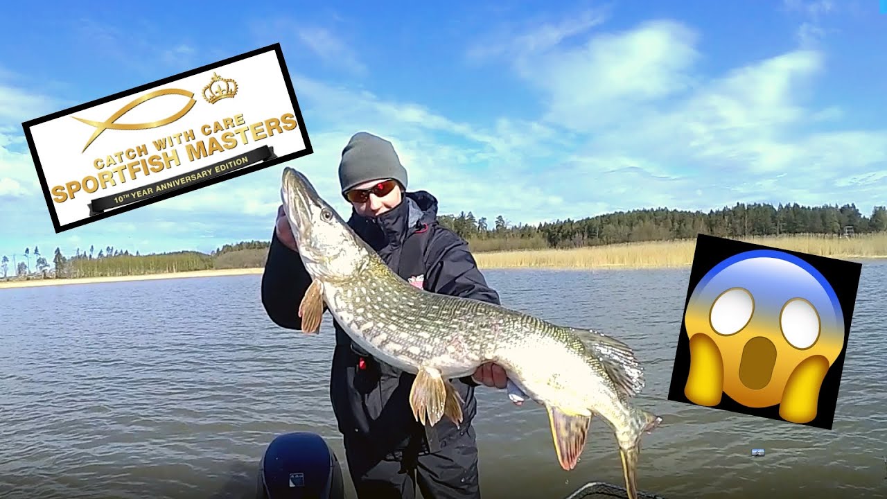 Gäddfiske! Sportfish Masters på mälaren 2020!