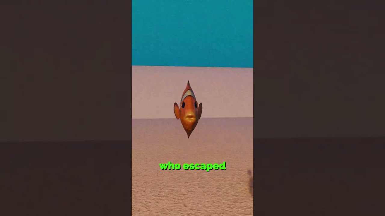 The Ocean's First News Station