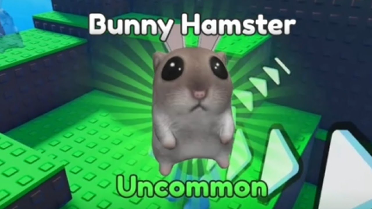 Find the Hamster - Where to Find the Bunny Hamster (Roblox)
