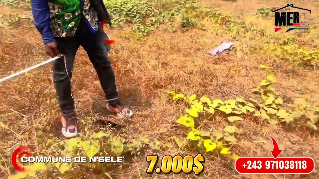 11/08/2025 , NOUVELLE LOTISSEMENT COMMUNE N’SELE BAMBOU 