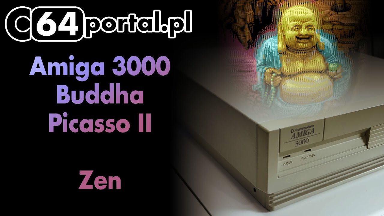 Amiga 3000. Buddha IDE, Picasso II Clone