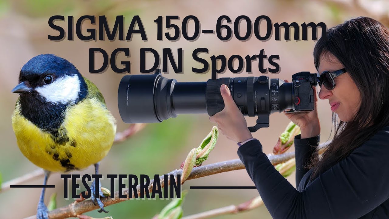 SIGMA 150-600 mm f5-6.3 DG DN : MEILLEUR télé-objectif  ?
