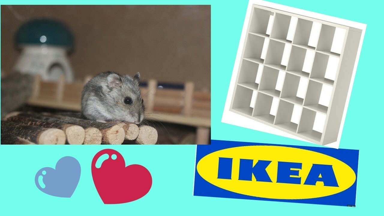 Hamstergehege aus Ikea Kallax Regal Umbau!