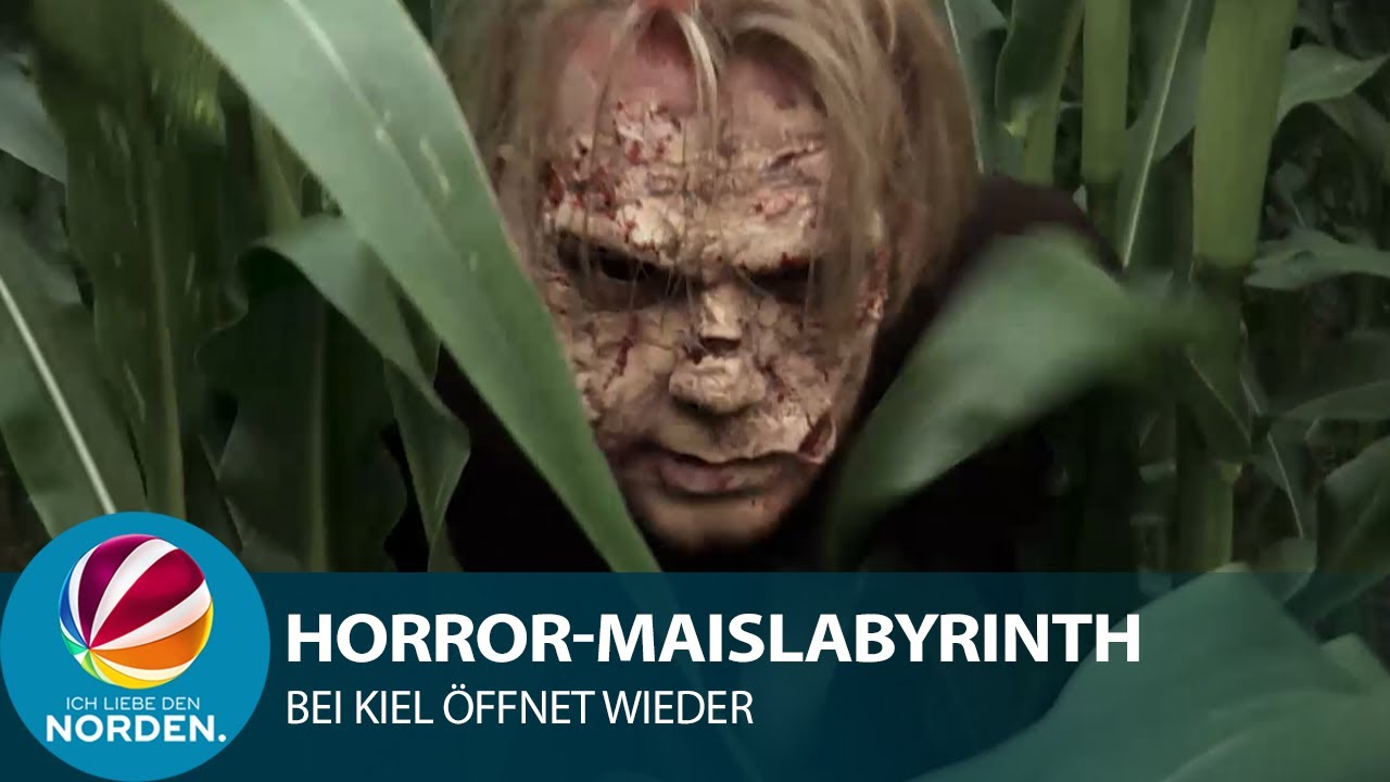Zombies und Lasertag: Horror-Maislabyrinth bei Kiel &ouml;ffnet wieder