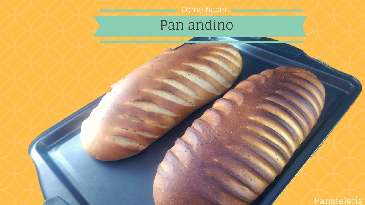 Pan andino / Pansteleria