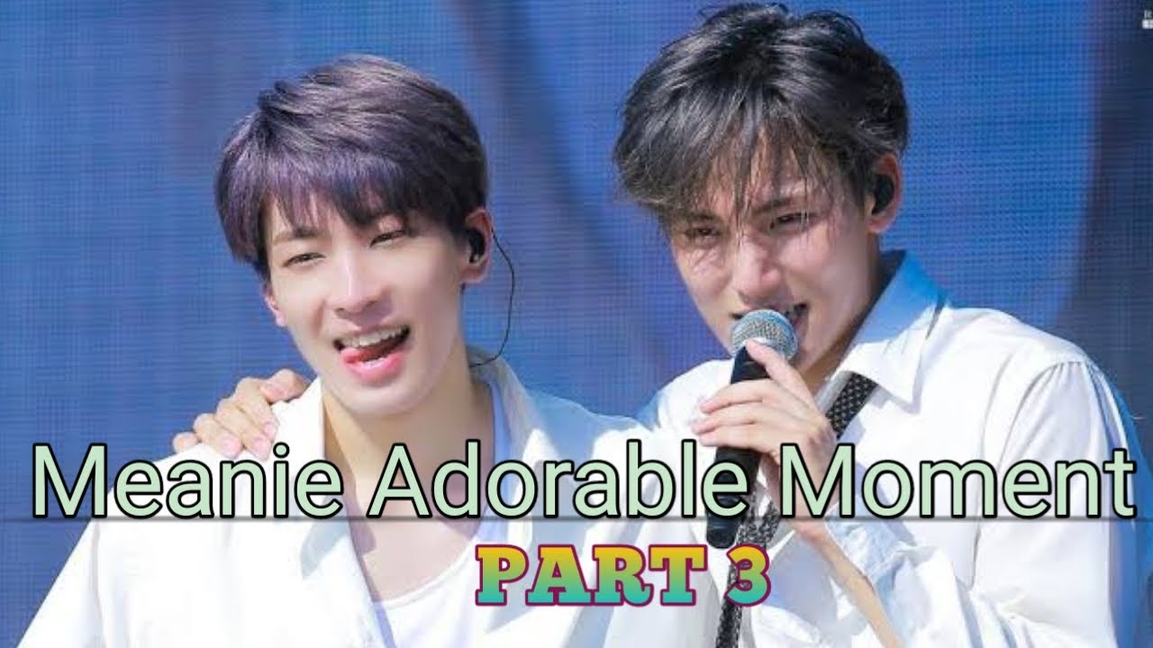 Wonwoo & Mingyu Moments (Part 3)