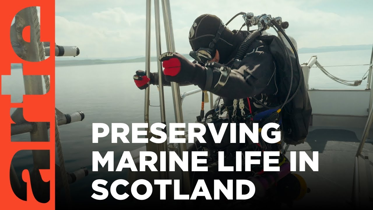 Restoring Scotland's Coastal Waters | ARTE.tv Documentary