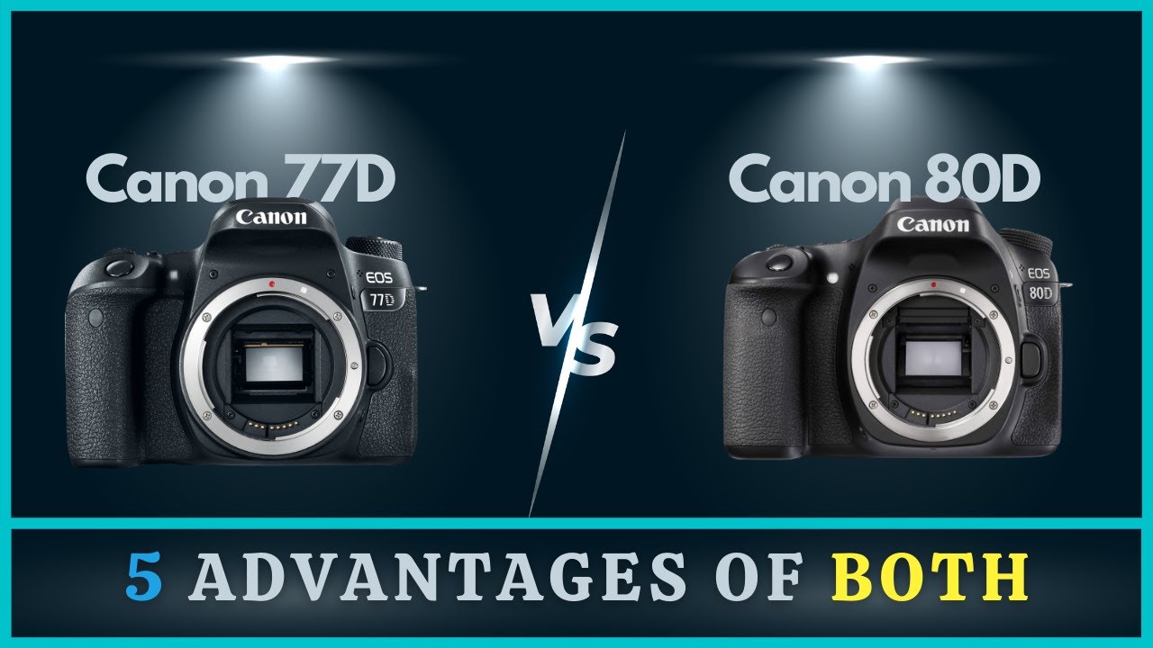 Canon 77D vs 80D | 5 Common Strengths & Weaknesses
