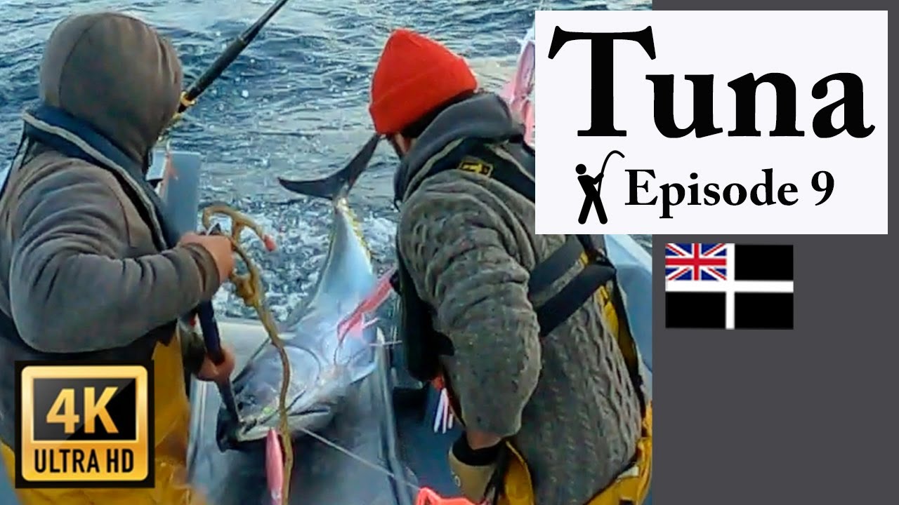 Commercial UK Tuna fishing - FH20 BFT E9 2024