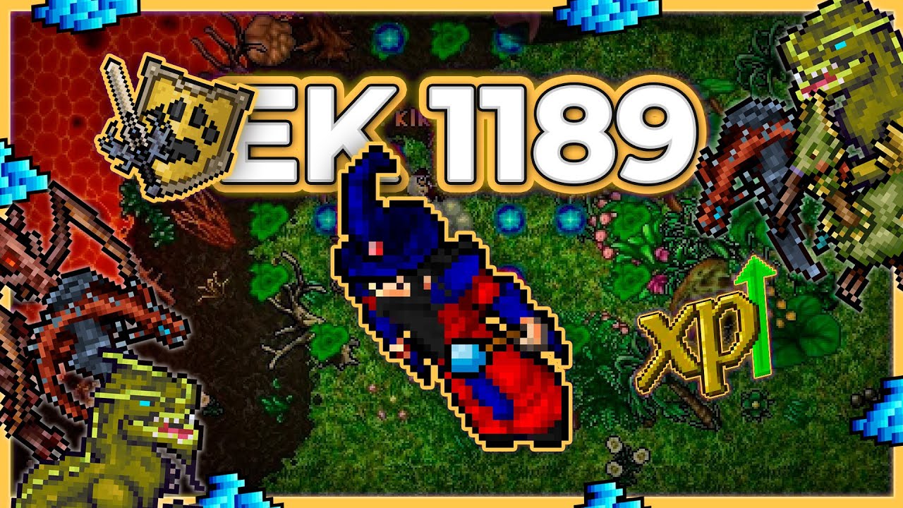 EK 1189 Hunt x4 Crystal Enigma (Hazard 9) 11.7kk/h Raw + 5.6kk Profit - Tibia Hunt [13.17] #tibia