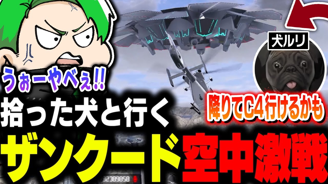【#ストグラ】そこで拾った犬と行くザンクードとの空中激熱戦闘【Middleeetv】