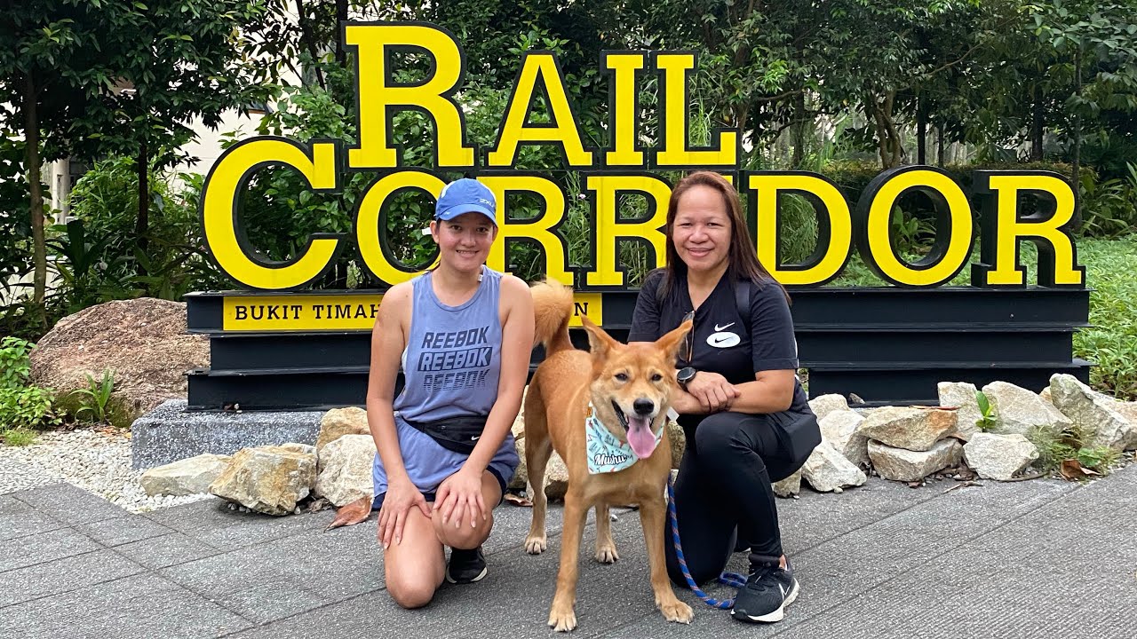 RAIL CORRIDOR || MORNING WALK WITH MUSHU 🐕