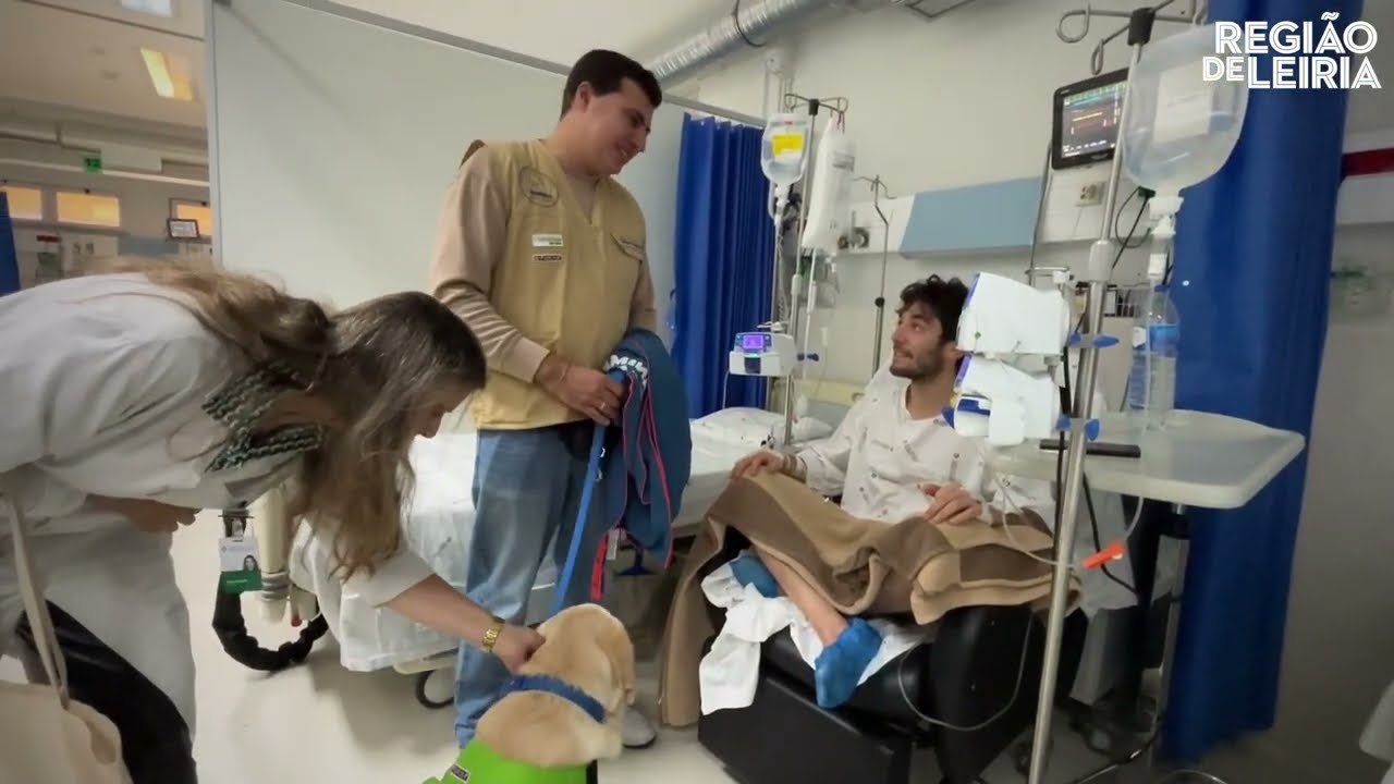 No hospital de Leiria, parte da cura tem quatro patas e responde por Herói